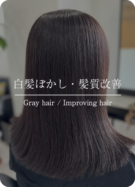 白髪ぼかし・髪質改善